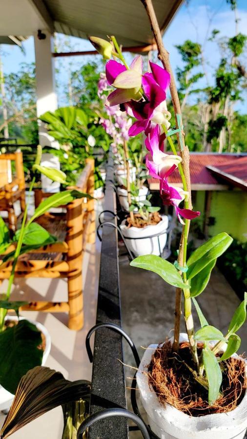 Matilde B&B - La Paz, Carmen Carmen  Luaran gambar